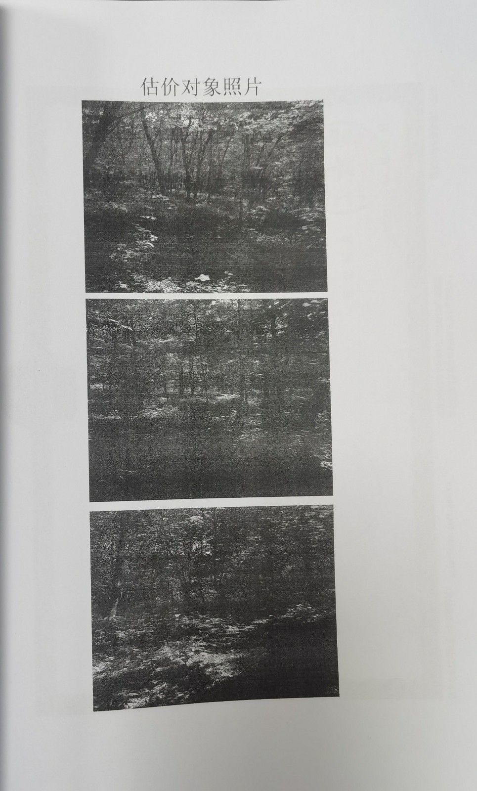 /Upload/Product/057a7e1ca67c4fc2986aa2294c2cf710.jpg?width=200&height=148&bgcolor=fff