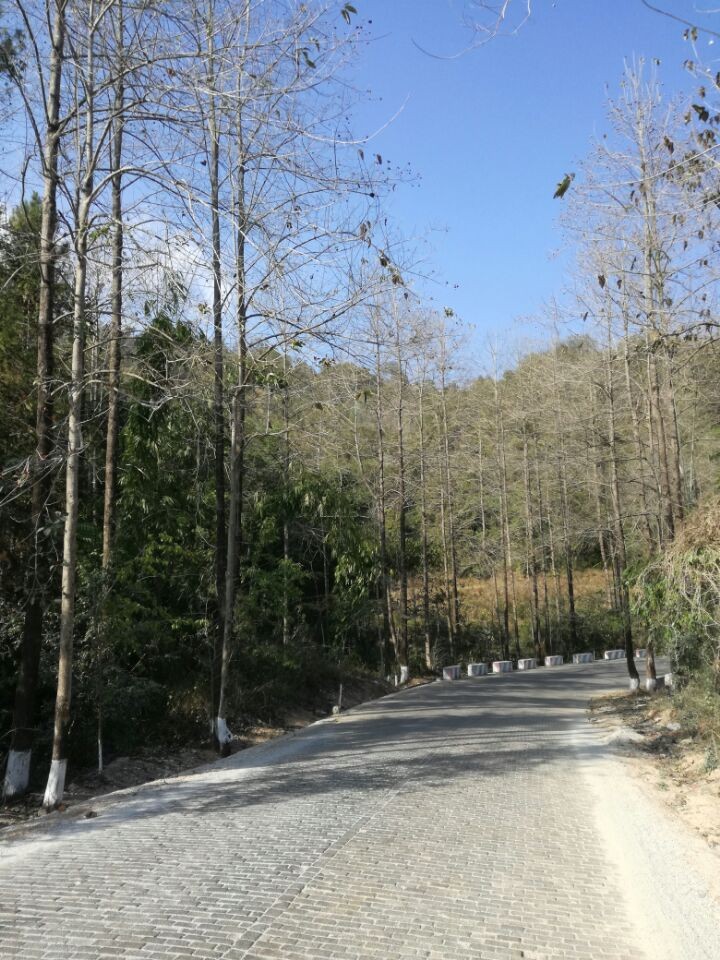 /Upload/Product/2017021700190197579453.jpg?width=200&height=148&bgcolor=fff