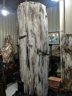 /Upload/Product/20170330532753277569253.jpg?width=200&height=148&bgcolor=fff