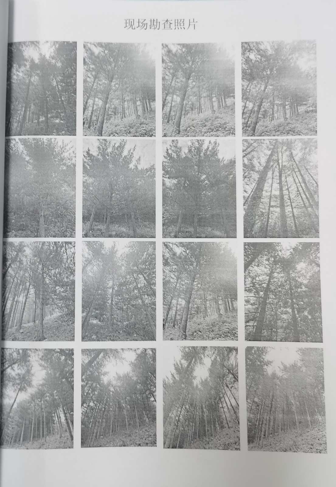 /Upload/Product/6a71c1e38e9c416bbf866641a2ff83b6.jpg?width=200&height=148&bgcolor=fff