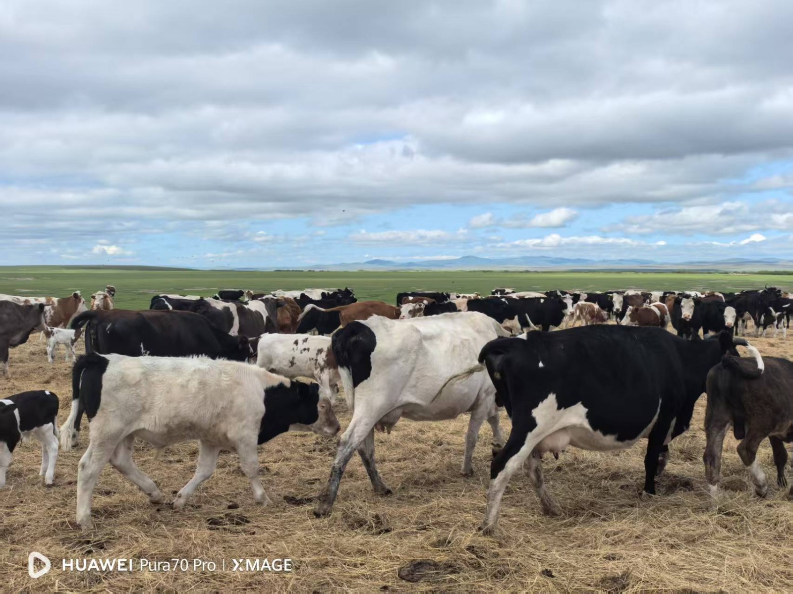 /Upload/Product/7436b26e706342789d5f6b26dbbb7533.jpg?width=200&height=148&bgcolor=fff