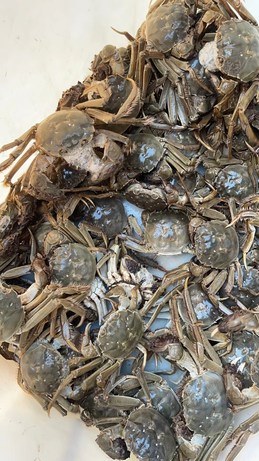 /Upload/Product/7b2e69215b7845a78c9a77718fd7a191.jpg?width=200&height=148&bgcolor=fff