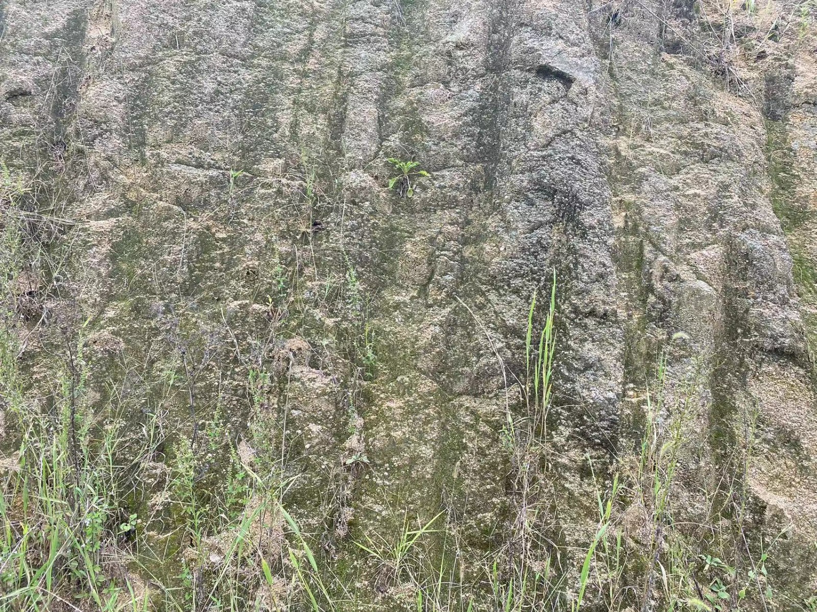 /Upload/Product/84ffe069648f46f9ab74c583bb5332ab.jpg?width=200&height=148&bgcolor=fff