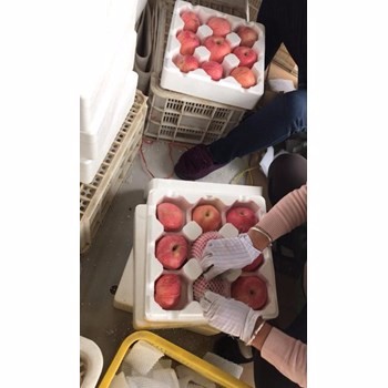 /Upload/Product/dce25be110884831a084b0045f60ca0b.jpg?width=200&height=148&bgcolor=fff